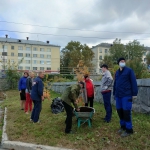 21-09-10-Novye-derevia-ryabiny-05