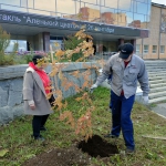 21-09-10-Novye-derevia-ryabiny-06