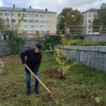21-09-10-Novye-derevia-ryabiny-07