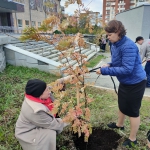21-09-10-Novye-derevia-ryabiny-08