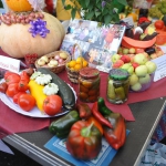 17-08-31-Den-pensionera-14