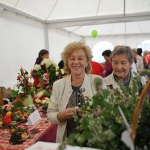17-08-31-Den-pensionera-9