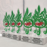 23-11-05-Zavershilsya-IV-konkurs-Rodygina-01